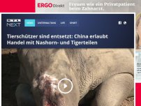 Bild zum Artikel: Tierschützer sind entsetzt: China erlaubt Handel mit Nashorn- und Tigerteilen