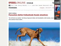 Bild zum Artikel: Urteil in Koblenz: Passanten dürfen freilaufende Hunde abwehren
