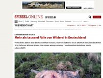 Bild zum Artikel: Kriminalstatistik für 2017: Mehr als tausend Fälle von Wilderei in Deutschland