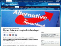 Bild zum Artikel: Eigenes Gutachten bringt AfD in Bedrängnis