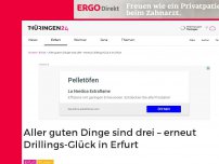 Bild zum Artikel: Aller guten Dinge sind drei – erneut Drillings-Glück in Erfurt