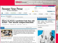 Bild zum Artikel: Velden: Mann hat Sex mit Schaf - und wird von Bauer ertappt