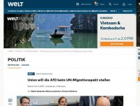 Bild zum Artikel: Union will die AfD beim UN-Migrationspakt stellen