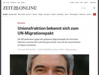 Bild zum Artikel: Bundestag: Unionsfraktion bekennt sich zum UN-Migrationspakt