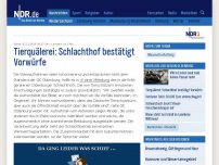 Bild zum Artikel: Quälerei in Schlachthof: Stadt Oldenburg reagiert