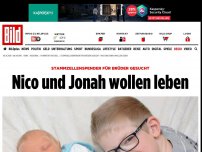Bild zum Artikel: Stammzellenspender für Brüder gesucht - Nico und Jonah wollen leben