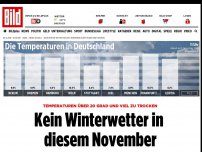 Bild zum Artikel: 20 Grad und viel zu trocken - Kein Winterwetter in diesem November