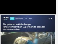 Bild zum Artikel: Tierquälerei in Oldenburger Rinderschlachthof: Supermärkte beenden Zusammenarbeit