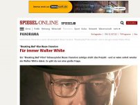 Bild zum Artikel: 'Breaking Bad'-Star Bryan Cranston: Für immer Walter White