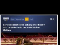 Bild zum Artikel: Gericht entscheidet: Schimpanse Robby darf im Zirkus und unter Menschen bleiben