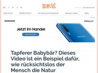 Bild zum Artikel: Tapferer Babybär? Dieses Video ist ein Beispiel dafür, wie rücksichtslos der Mensch die Natur behandelt