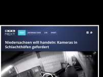 Bild zum Artikel: Niedersachsen will handeln: Kameras in Schlachthöfen gefordert
