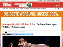 Bild zum Artikel: Manege dicht für Nilpferd & Co. : Berliner Senat sperrt Wildtier-Zirkusse aus