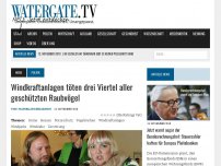 Bild zum Artikel: Windkraftanlagen töten drei Viertel aller geschützten Raubvögel