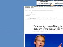 Bild zum Artikel: Parteispenden an AfD: Weidel sieht keinen Grund für persönliche Konsequenzen