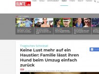 Bild zum Artikel: Tragisches Schicksal: Keine Lust mehr auf ein Haustier - Familie lässt ihren Hund beim Umzug einfach zurück