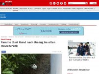 Bild zum Artikel: Nach Umzug - Familie lässt Hund nach Umzug im alten Haus zurück