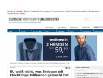 Bild zum Artikel: EU weiß nicht, was Erdogan mit Flüchtlings-Milliarden gemacht hat