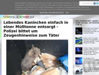 Bild zum Artikel: Lebendes Kaninchen einfach in einer Mülltonne entsorgt - Polizei bittet um Zeugenhinweise zum Täter