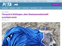 Bild zum Artikel: Tierqual in Ettlingen, aber Staatsanwaltschaft ermittelt nicht