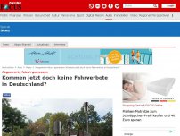 Bild zum Artikel: Abgaswerte falsch gemessen - Kommen jetzt doch keine Fahrverbote in Deutschland?