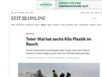 Bild zum Artikel: Indonesien: Toter Wal hat sechs Kilo Plastik im Bauch