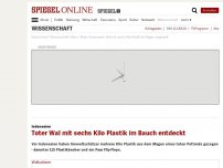 Bild zum Artikel: Indonesien: Toter Wal mit sechs Kilo Plastik im Bauch entdeckt