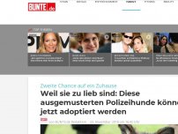 Bild zum Artikel: Weil sie zu lieb sind: Diese ausgemusterten Polizeihunde können jetzt adoptiert werden