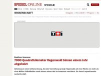 Bild zum Artikel: Brasiliens Amazonas: 7900 Quadratkilometer Regenwald binnen einem Jahr abgeholzt