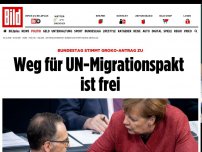 Bild zum Artikel: BUNDESTAG STIMMT GROKO-ANTRAG ZU - Weg für UN-Migrationspakt ist frei
