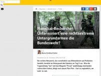 Bild zum Artikel: Hannibal-Recherche: Unterminiert eine rechtsextreme Untergrundarmee die Bundeswehr?