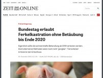 Bild zum Artikel: Fristverlängerung: Bundestag erlaubt Ferkelkastration ohne Betäubung bis Ende 2020