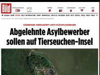 Bild zum Artikel: Isoliert in der Ostsee - Dänemark karrt Flüchtlinge auf Tierseuchen-Insel