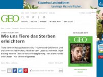 Bild zum Artikel: Wie uns Tiere das Sterben erleichtern