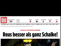 Bild zum Artikel: Schon 15 Tor-Beteiligungen - Reus besser als ganz Schalke!