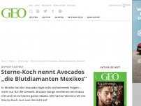 Bild zum Artikel: Sterne-Koch nennt Avocados „die Blutdiamanten Mexikos“