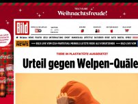 Bild zum Artikel: Tiere ausgesetzt - Urteil gegen Welpen-Quäler