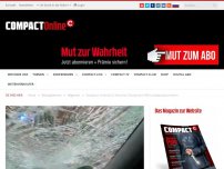 Bild zum Artikel: Stuttgarter Antifa & Co: Versuchte Tötung eines AfD-Landtagsabgeordneten