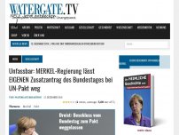 Bild zum Artikel: Unfassbar: MERKEL-Regierung lässt EIGENEN Zusatzantrag des Bundestages bei UN-Pakt weg