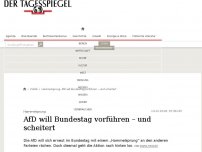 Bild zum Artikel: AfD will Bundestag vorführen - und scheitert