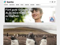 Bild zum Artikel: Hol das Sparbuch raus: Jemand verkauft eine einsame Insel voller Pinguine! 