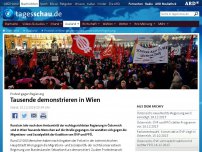 Bild zum Artikel: Protest in Wien gegen rechtskonservative Regierung