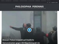 Bild zum Artikel: Brüssel: Polizei knüppelt auf friedliche Demonstranten gegen UN-Migrationspakt ein