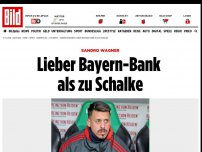 Bild zum Artikel: Sandro Wagner - Lieber Bayern-Bank als zu Schalke