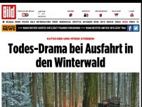 Bild zum Artikel: Kutscher und PFerd sterben - Todes-Drama bei Ausfahrt in den Winterwald