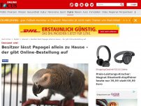 Bild zum Artikel: Gewusst wie! - Besitzer lässt Papagei allein zu Hause – der gibt Online-Bestellung auf