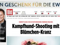 Bild zum Artikel: Originelle Vermittulng - Kampfhund-Shooting mit Blümchen-Kranz
