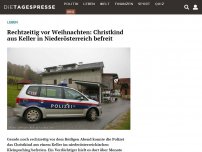 Bild zum Artikel: Rechtzeitig vor Weihnachten: Christkind aus Keller in Niederösterreich befreit