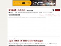 Bild zum Artikel: Kommerzielle Gründe: Japan will ab Juli 2019 wieder Wale jagen
