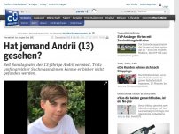 Bild zum Artikel: Vermisst in Aegerten BE : Hat jemand Andrii (13) gesehen?